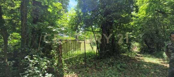 1 chambre Maison à Roccastrada, Italy No. 316840 3