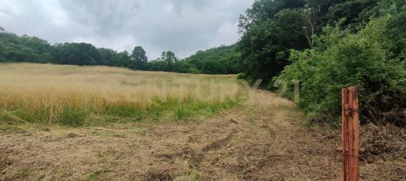 1 chambre Maison à Roccastrada, Italy No. 316840 17