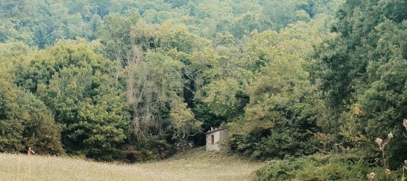 1 chambre Maison à Roccastrada, Italy No. 316840 15