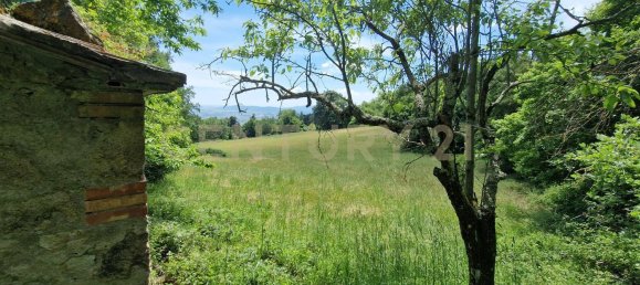 1 chambre Maison à Roccastrada, Italy No. 316840 2