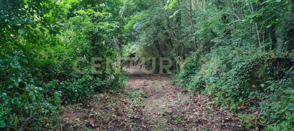 1 chambre Maison à Roccastrada, Italy No. 316840 5