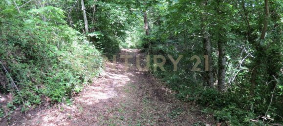 1 chambre Maison à Roccastrada, Italy No. 316840 6