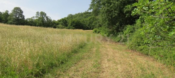 1 chambre Maison à Roccastrada, Italy No. 316840 16