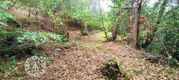 Terreno en Laroque-des-Alberes, France 1148 m² No. 342178 6