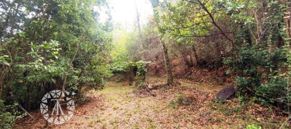 Terreno en Laroque-des-Alberes, France 1148 m² No. 342178 4