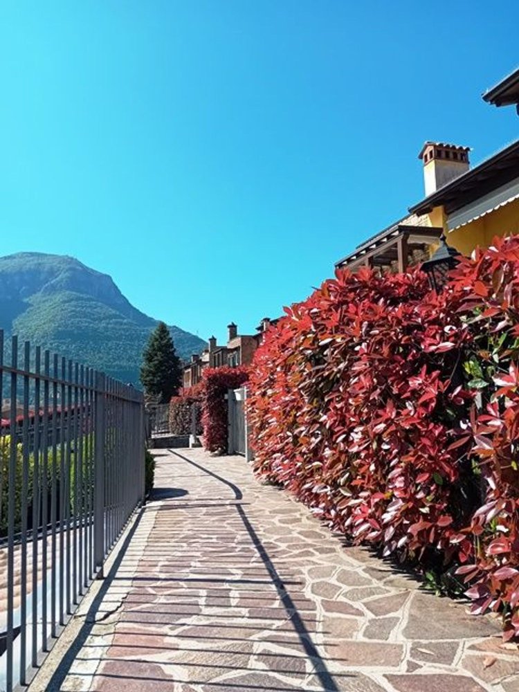 3-salle Appartement à Ranzanico, Italy No. 316102