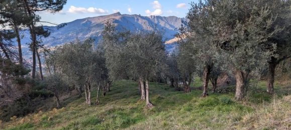 15 rooms House in Pietrasanta, Italy No. 75994 24