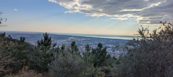 15 rooms House in Pietrasanta, Italy No. 75994 30