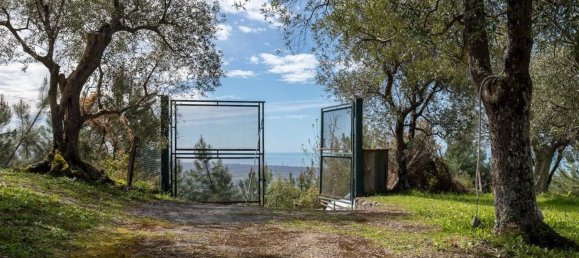 15 rooms House in Pietrasanta, Italy No. 75994 35