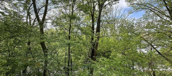 2 chambres Appartement à Gottingen, Germany No. 317659 16