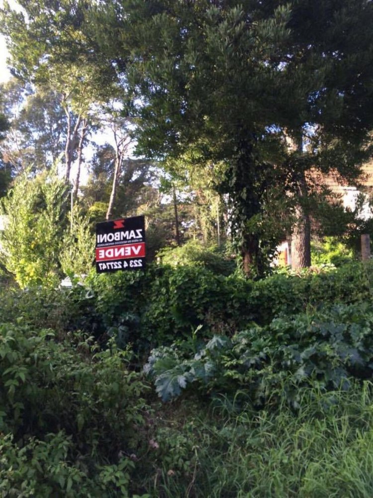  Land in Mar del Plata, Argentina No. 116567