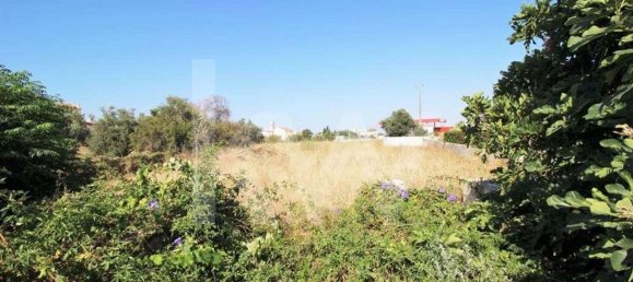 Terreno em Guia, Portugal 6660 m² N.º 58597 13