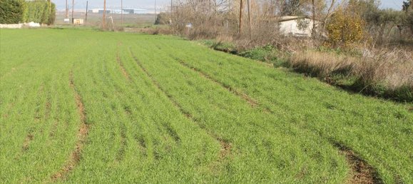  فندق في Thessaloniki, Greece 4500متر مربع رقم 8021 2