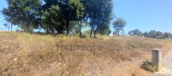 1920m² Land in Palmela, Portugal No. 226204 6