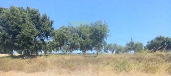 1920m² Land in Palmela, Portugal No. 226204 4