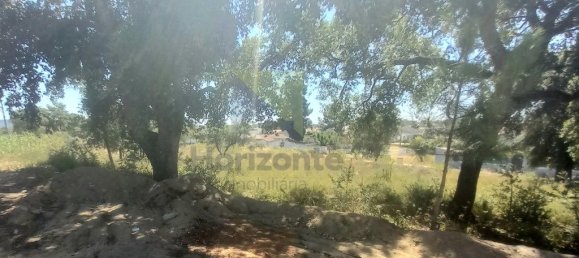 1920m² Land in Palmela, Portugal No. 226204 9
