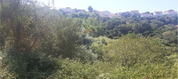 3728m² Land in Coimbra, Portugal No. 72621 2