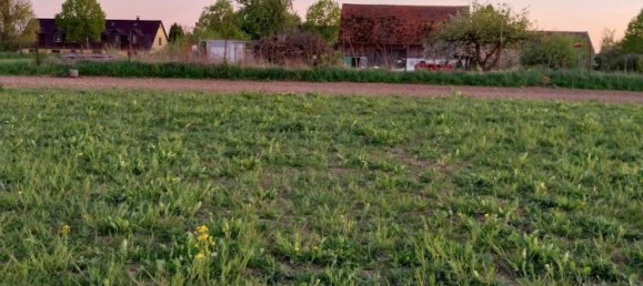 Земельный участок в Мекленбургское Поозёрье, Германия № 271450 13