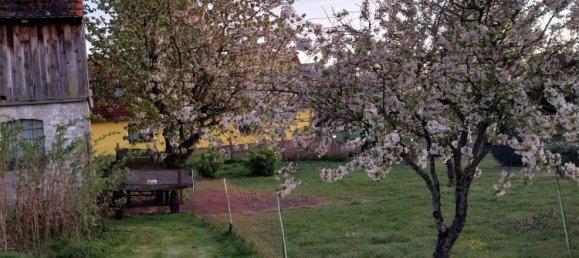 Земельный участок в Мекленбургское Поозёрье, Германия № 271450 6