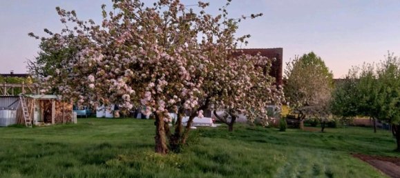 Земельный участок в Мекленбургское Поозёрье, Германия № 271450 7