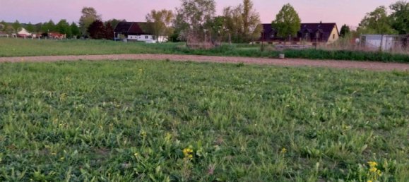 Земельный участок в Мекленбургское Поозёрье, Германия № 271450 14