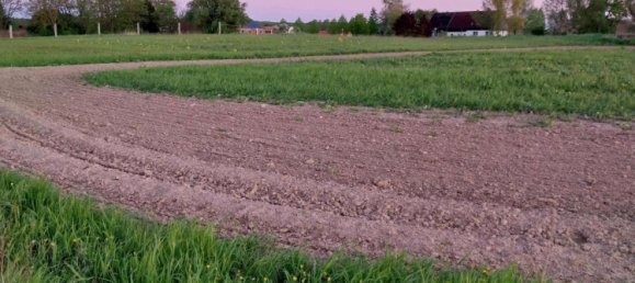 Земельный участок в Мекленбургское Поозёрье, Германия № 271450 17