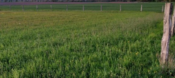 Земельный участок в Мекленбургское Поозёрье, Германия № 271450 10