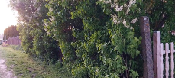 Земельный участок в Мекленбургское Поозёрье, Германия № 271450 3