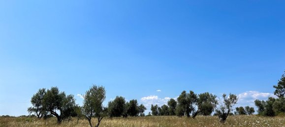 12غرفة فيلا في Canino, Italy رقم 127036 4