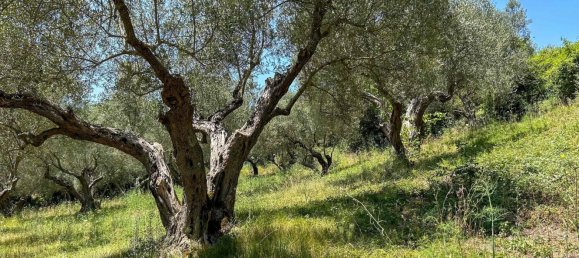 12غرفة فيلا في Canino, Italy رقم 127036 2
