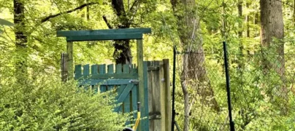 3 غرف نوم منزل في Schleswig-Flensburg, Germany رقم 20641 14