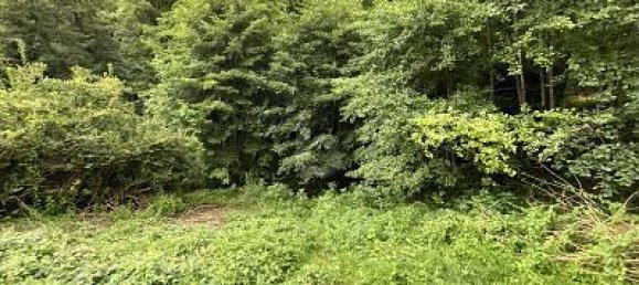 Terreno em Calw, Germany 2380 m² N.º 274811 5