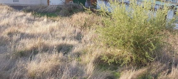 1044m² Land in Vilaflor, Spain No. 162112 18