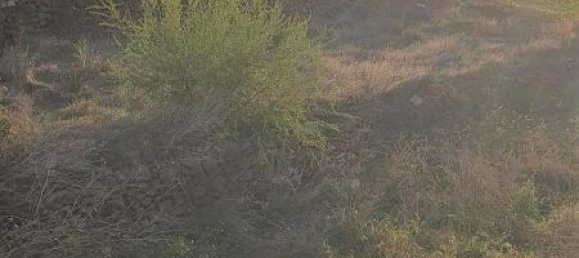 1044m² Land in Vilaflor, Spain No. 162112 35