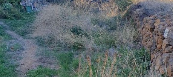 1044m² Land in Vilaflor, Spain No. 162112 9