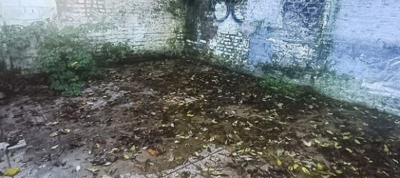 3 bedrooms House in Aniche, France No. 224742 9