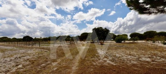 3 غرف نوم منزل في Torrao, Portugal رقم 68980 27