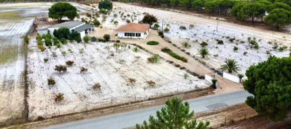 3 غرف نوم منزل في Torrao, Portugal رقم 68980 3