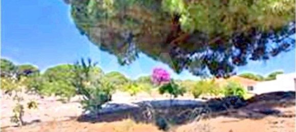 3 غرف نوم منزل في Torrao, Portugal رقم 68980 26