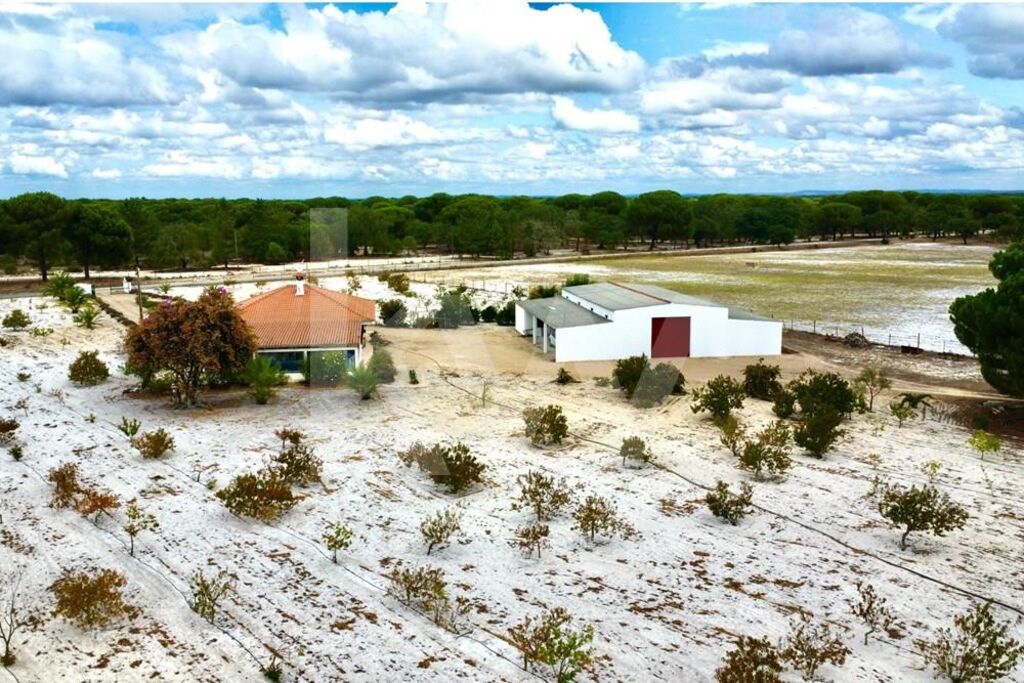 3 غرف نوم منزل في Torrao, Portugal رقم 68980