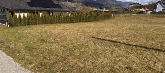 Terrain à Baldramsdorf, Austria No. 153263 3