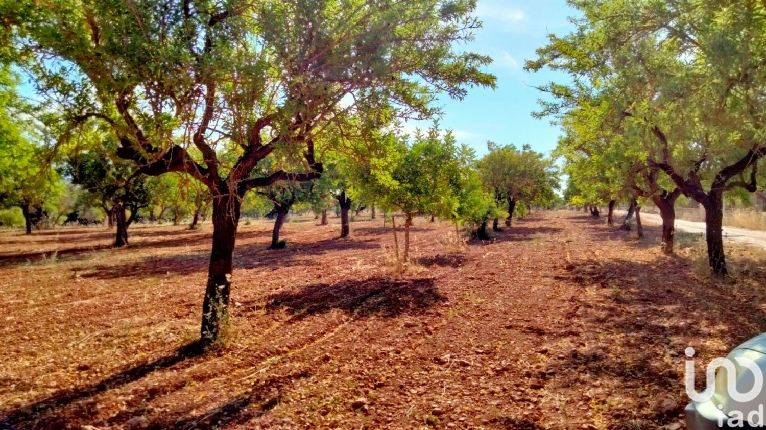 Terrain à Mallorca, Spain 18000m² No. 293846