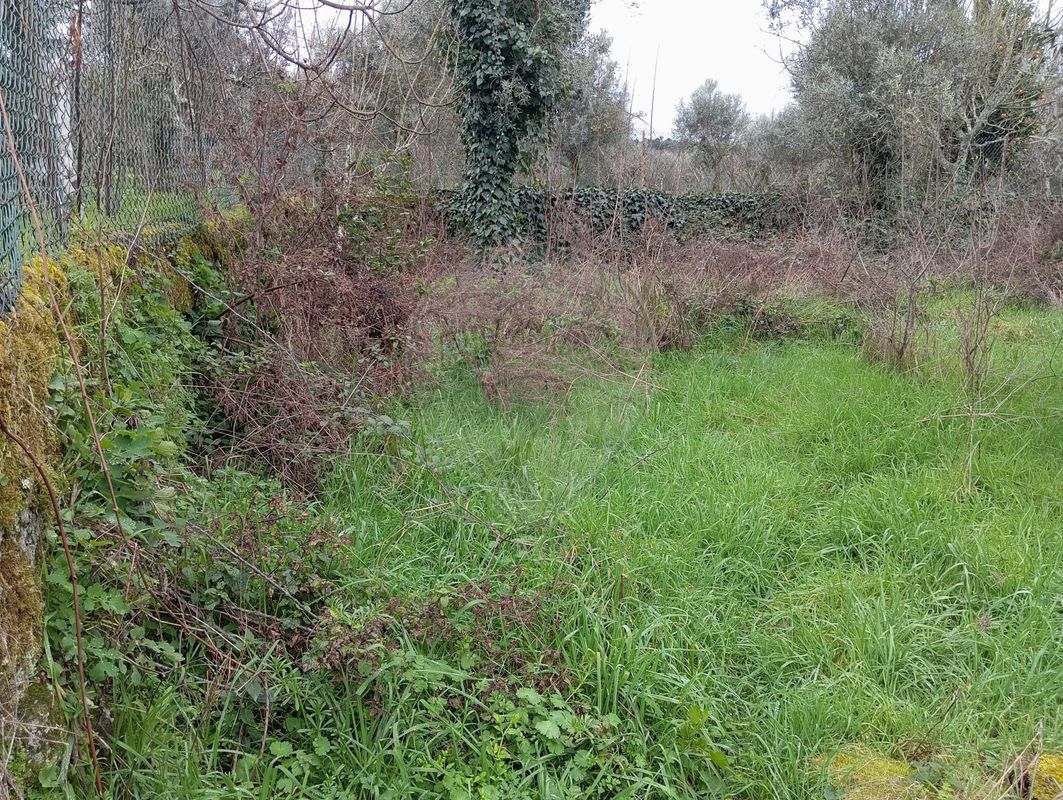 3 chambres Maison à Alcafache, Portugal No. 165081