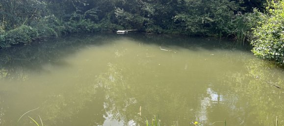 2 bedrooms House in Oberbergischer, Germany No. 202729 6