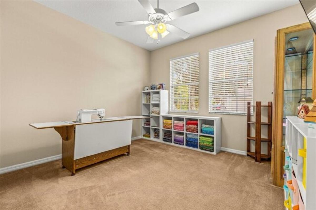 4 bedrooms House in Wesley Chapel, USA No. 421479