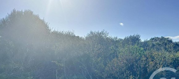 875m² Land in Porto-Vecchio, France No. 77434 2