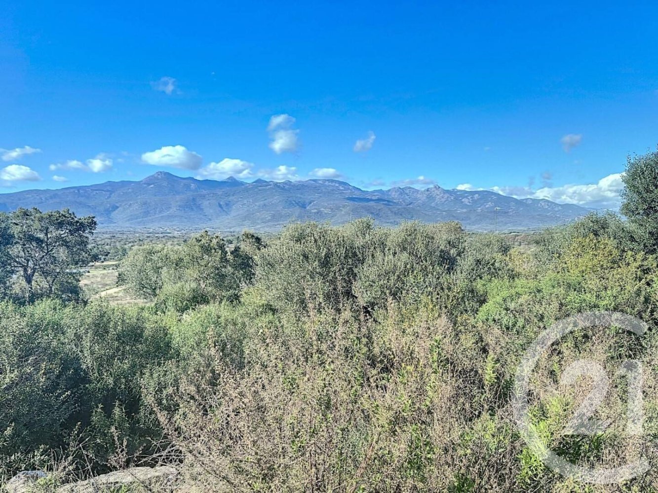 875m² Land in Porto-Vecchio, France No. 77434