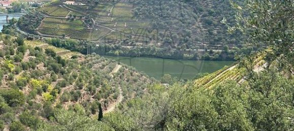 Casa de 9 dormitorios en Sabrosa, Portugal No. 189243 8