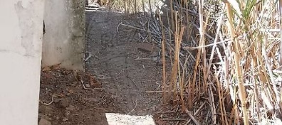 2 غرف نوم منزل في Chamusca, Portugal رقم 30396 6