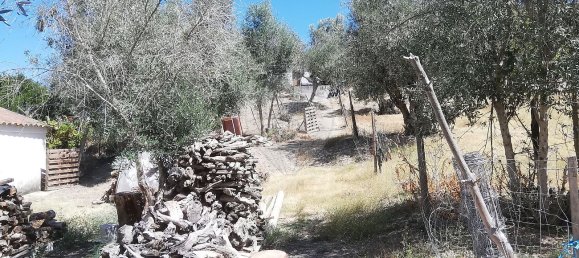 2 غرف نوم منزل في Chamusca, Portugal رقم 30396 7